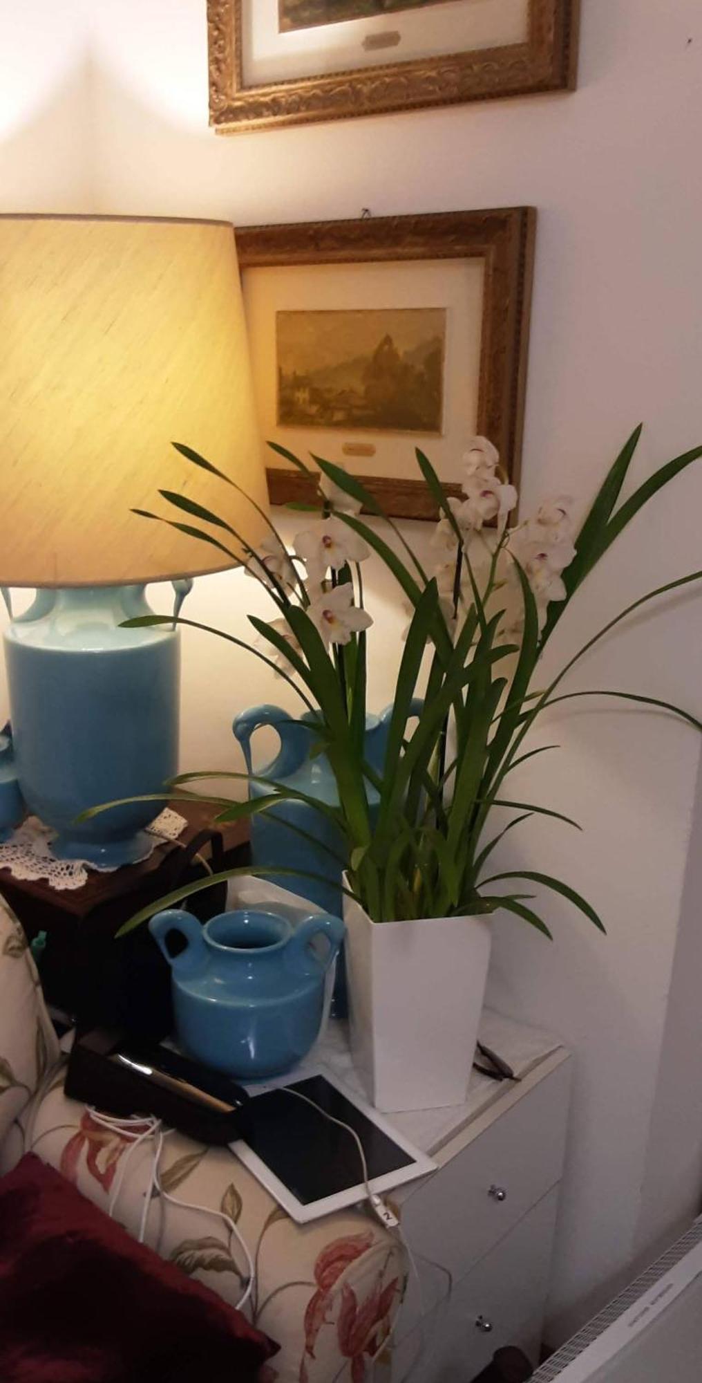 Tosca House 2 Bed & Breakfast Varenna Ngoại thất bức ảnh